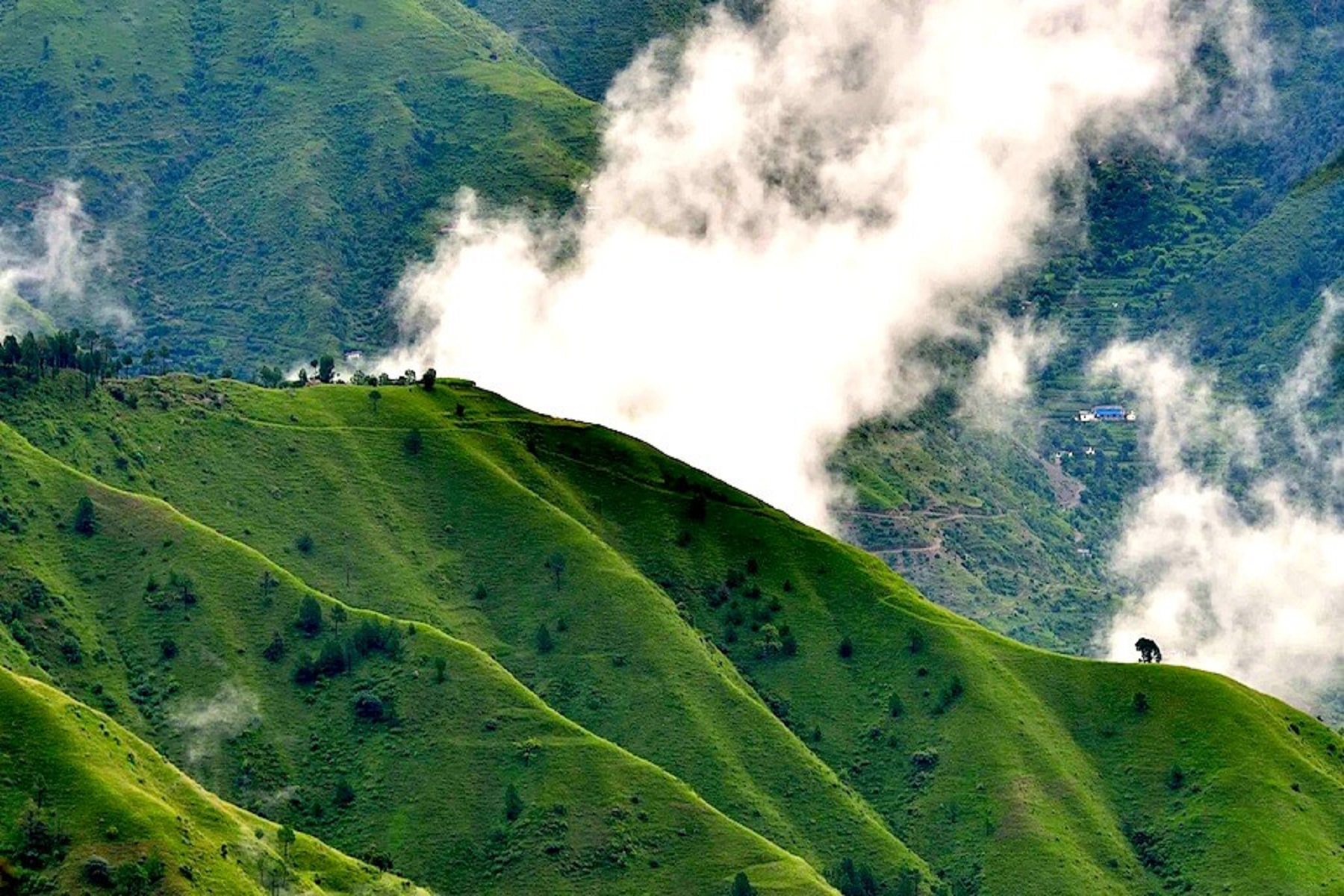 Chail Tour Package