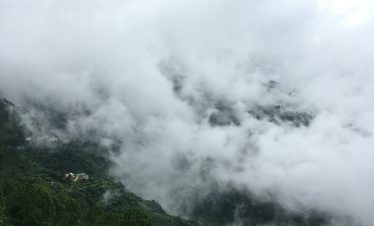 Kasauli Tour Planner