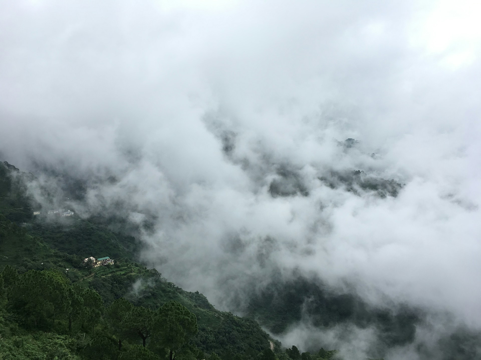 Kasauli Tour Planner