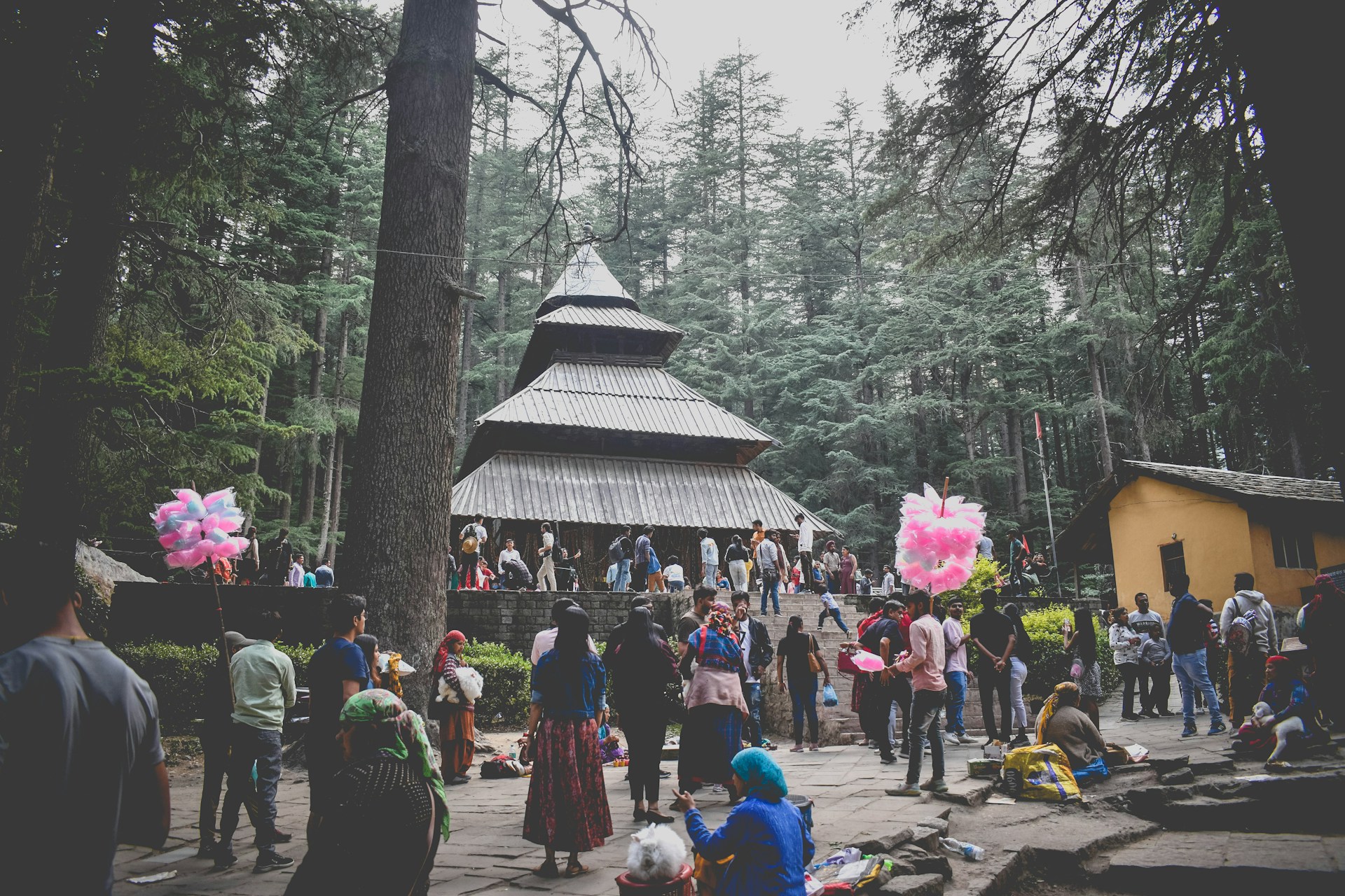 Manali Budget Tour Package