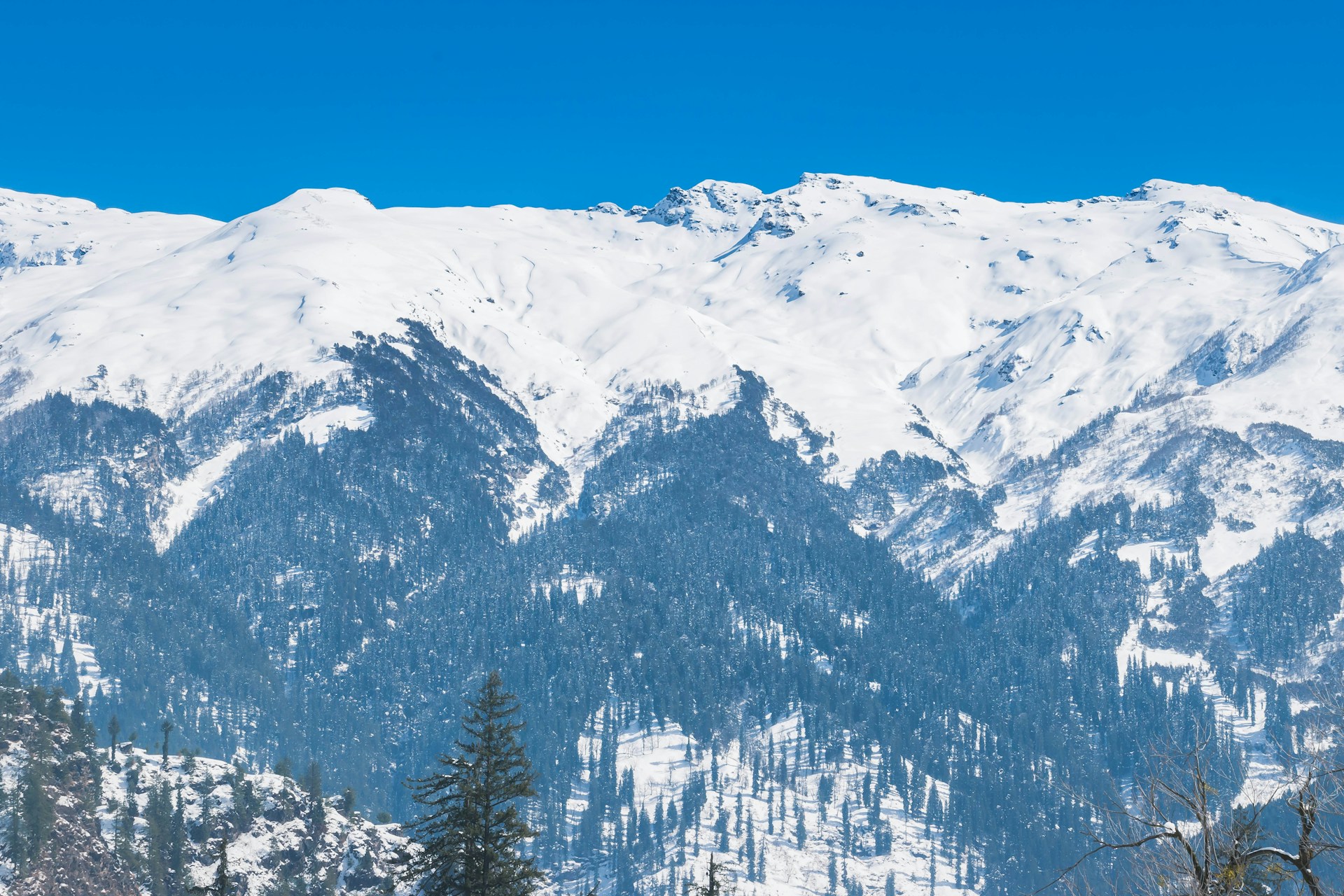 Manali Tour Package