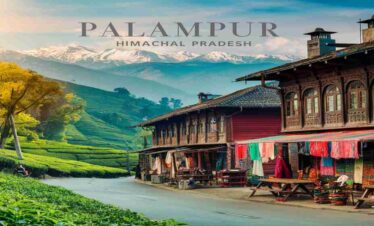 Palampur Tour Package