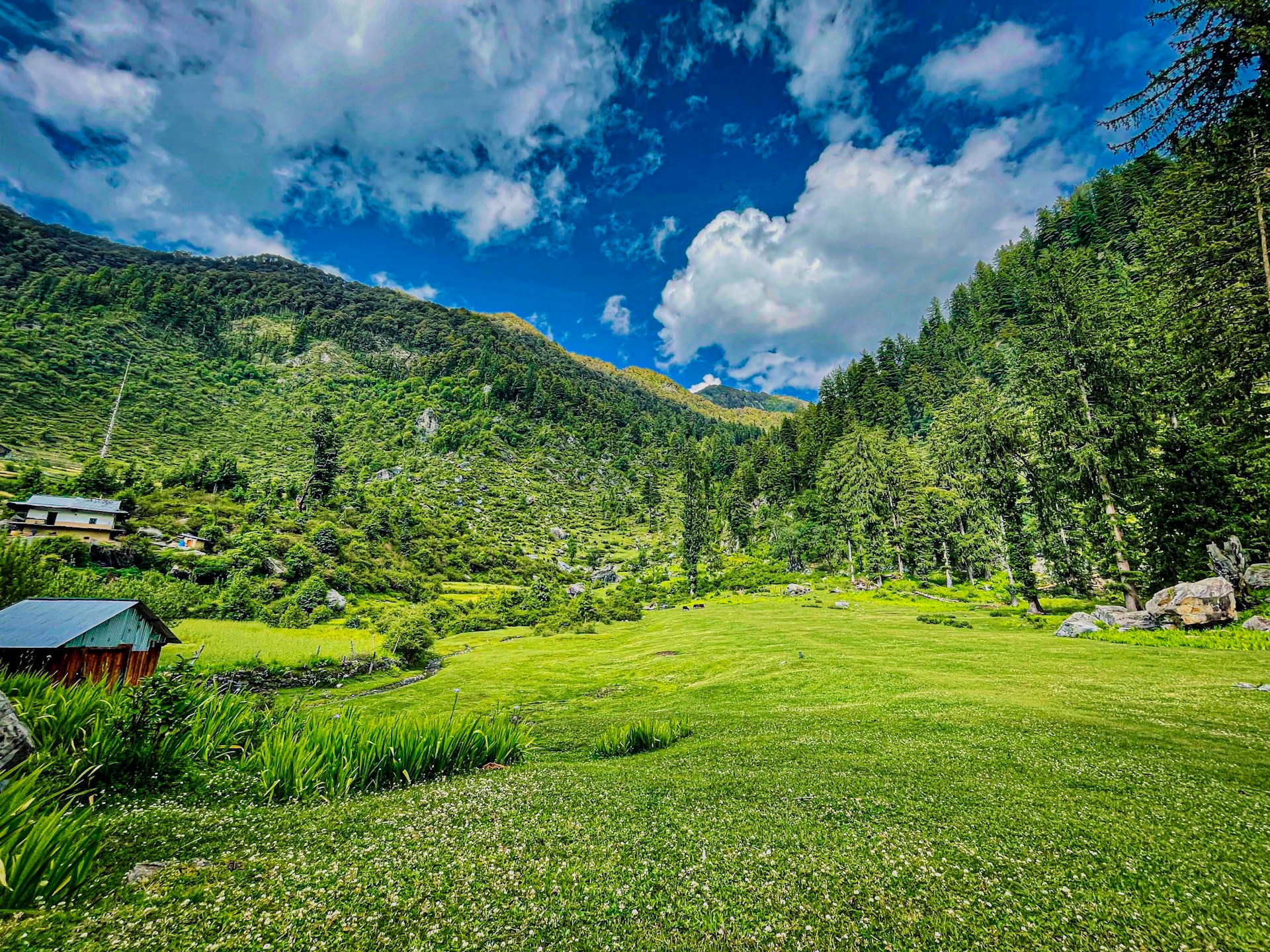 Tirthan Valley Tour Package