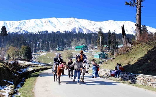 Sonmarg Tour Booking