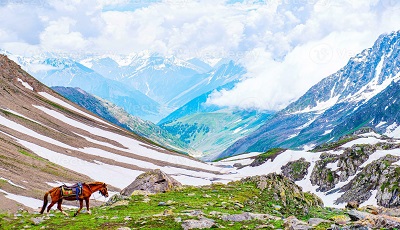 Kashmir Tour Travel Booking