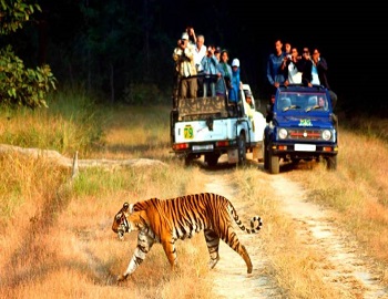 Uttarakhand Adventure Tour Packages