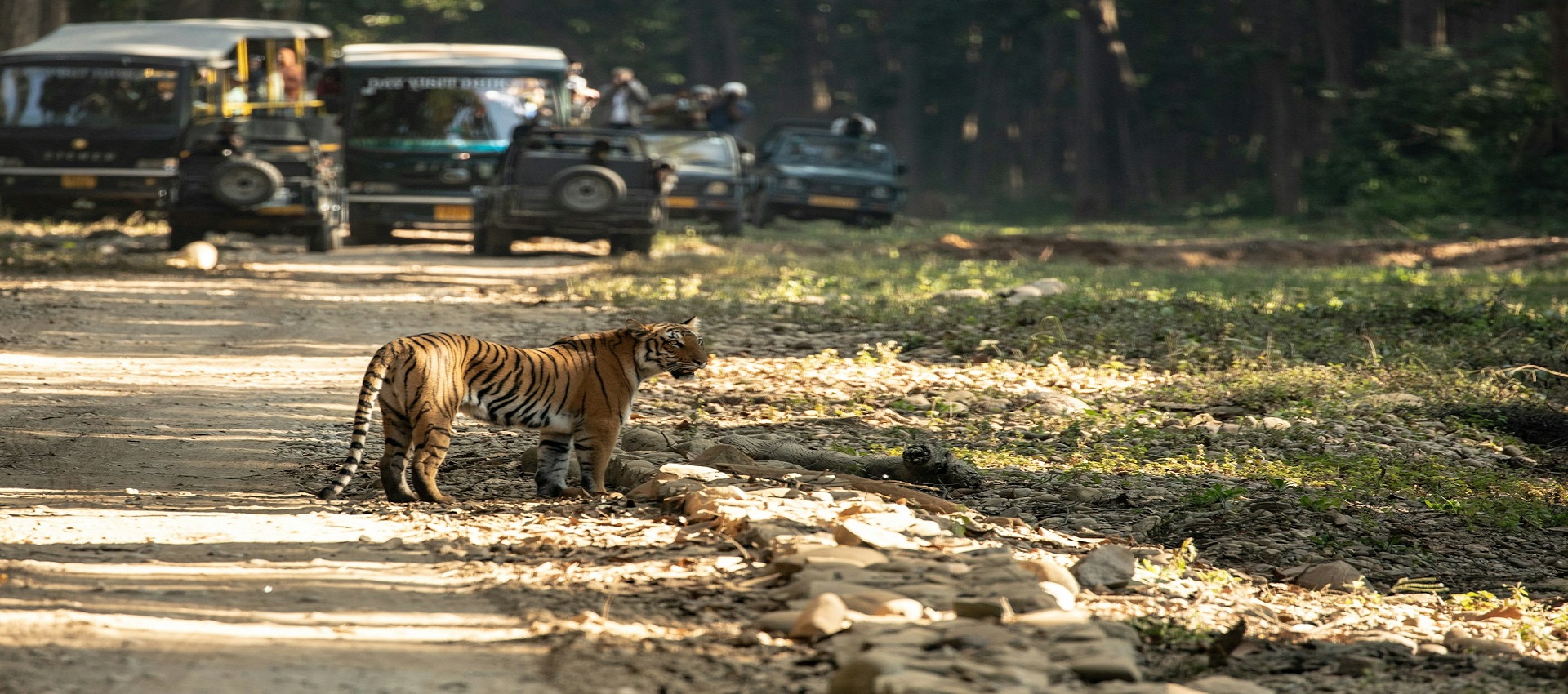 Jim Corbett Tour Package