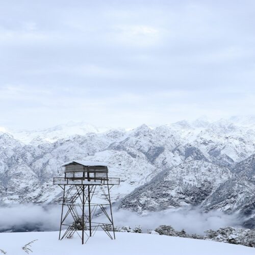 Joshimath Tour Package With Auli