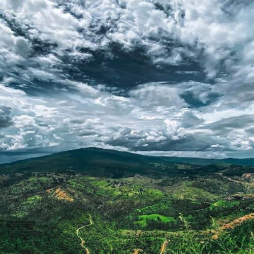 Kausani Tour Packag