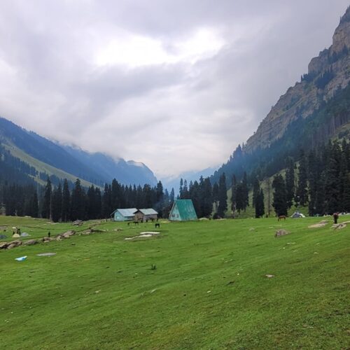 Sonmarg Tour Package