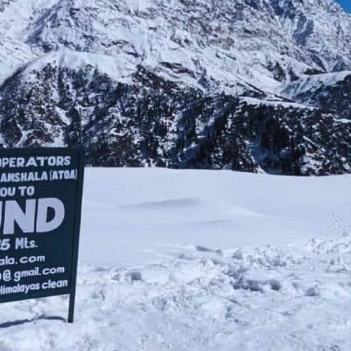 Triund Trekking & Camping Tour