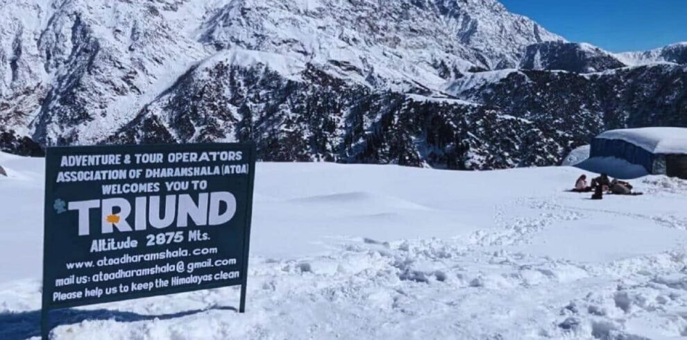 Triund Trekking & Camping Tour